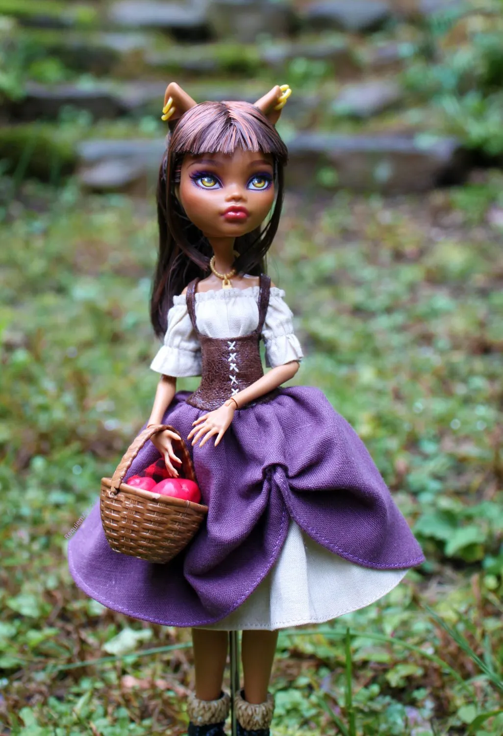 Riding Hood Fantasy Costume